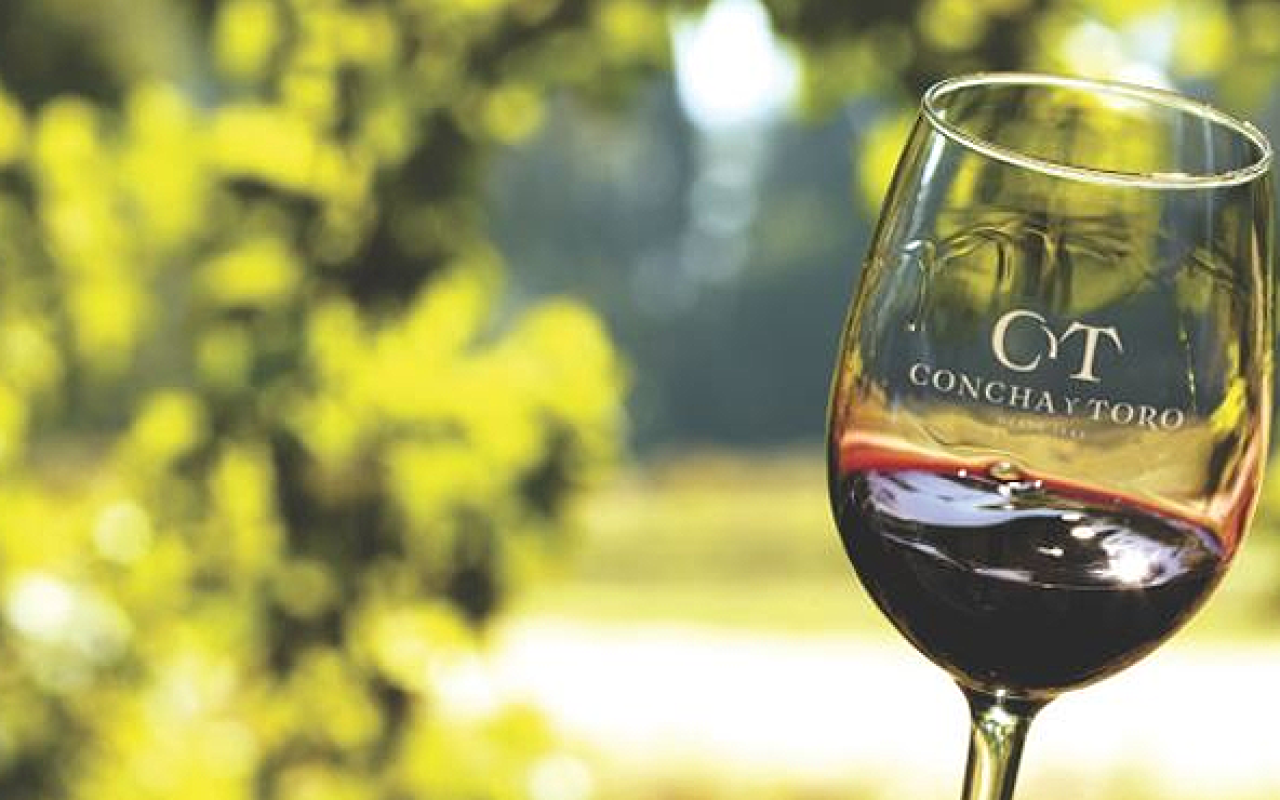 Viña Concha y Toro