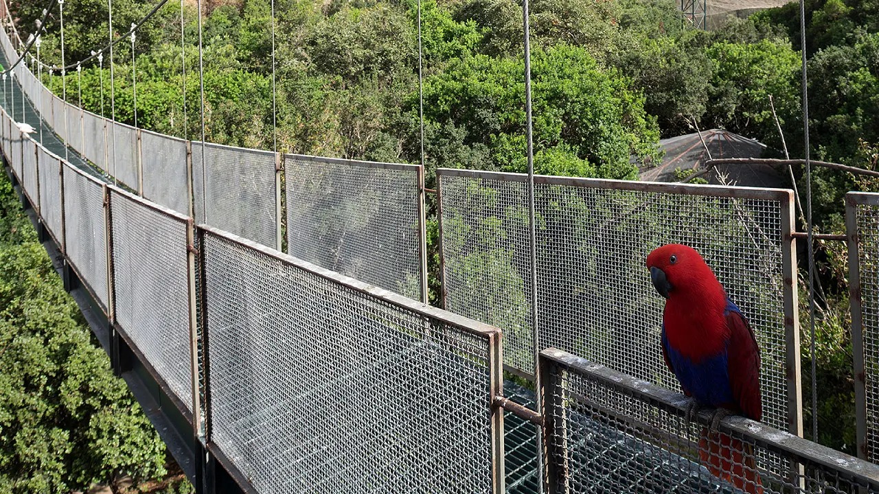 Tour Parque Tricao y Santo Domingo