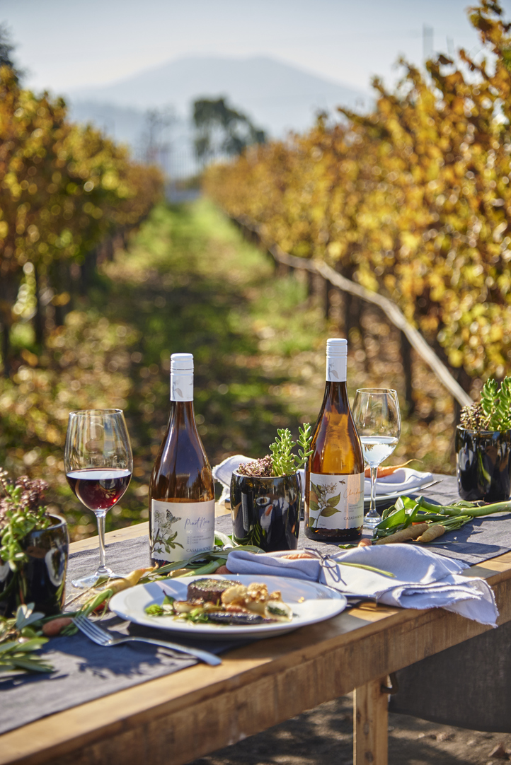 Viñedos y sabores de Chile