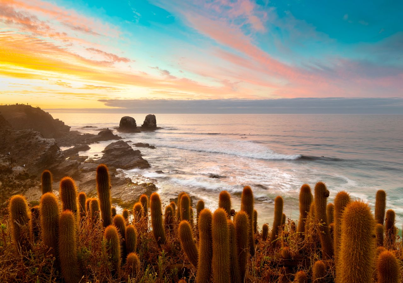 Tour Pichilemu, Punta de Lobos y Salinas de Cáhuil