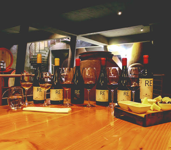 Tour Bodegas RE