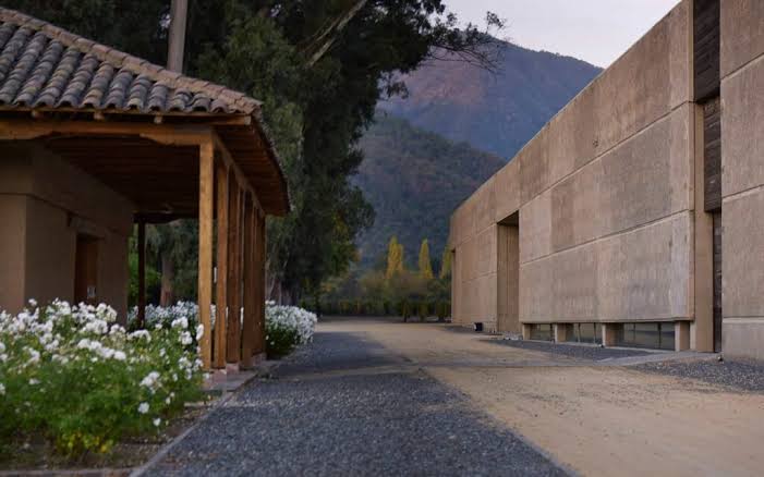 Tour Viña Neyen de Apalta