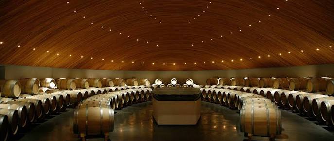 Tour Viña Clos Apalta