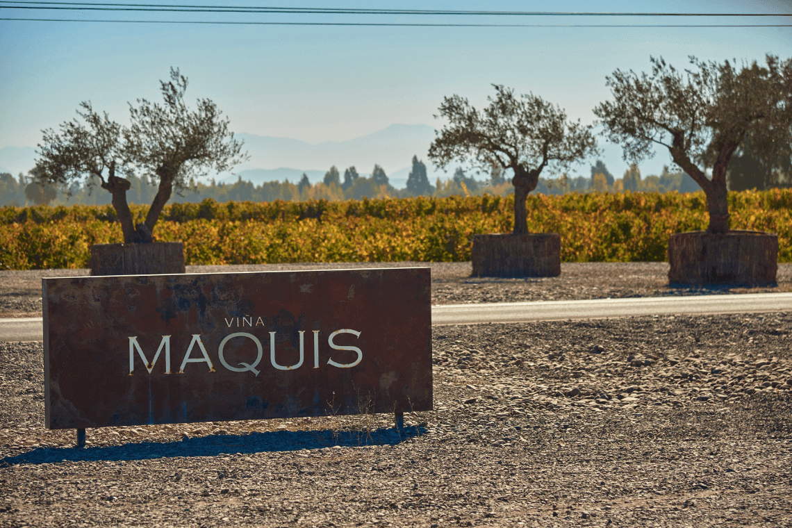 Tour Viña Maquis